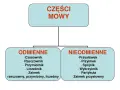 Schemat przedstawia podział części mowy na odmienne (czasownik, rzeczownik, przymiotnik, liczebnik, zaimek) i nieodmienne (przysłówek, przyimek, spójnik, wykrzyknik, partykuła, zaimek przysłowny).