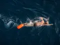 Un nageur profite d'une séance de nage en eau libre, suivi d'une bouée orange vif.