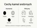 Kamea co to? Grafika przedstawia cechy kamei srebrnych: kamienie (onyks, agat, karneol) i motywy (portret, mitologia, roślina).
