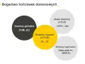 Domeny internetowe dla początkujących: Co to, jak działa, jak wybrać?