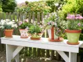 Fünf bemalte Blumentöpfe mit bunten Blumen stehen auf einer weißen Bank im Garten. Ein Blumentopf ist grün mit weißen Blumen bemalt.