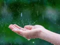Dłoń łapie krople deszczu. Woda spływa po palcach, jakby to był podatek od deszczu, który natura nam daje.