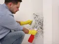 Un homme en gants jaunes utilise un spray et une brosse pour nettoyer la moisissure sur un mur. Il utilise du bicarbonate pour nettoyer le mur.