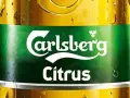Carlsberg Polska: Pełne Portfolio Piw i Smaków (Przewodnik 2024)