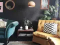 Habitación con poca luz, sofás de terciopelo verde y mostaza, cojines decorativos, plantas y arte en la pared.