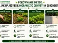 Porównanie metod ograniczania chwastów: ręczne usuwanie, ściółkowanie, gęste sadzenie i bariery betonowe.