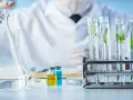 Co można robić po studiach biotechnologii? Odkryj ciekawe kariery