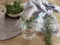 Zweige von Rosmarin in Wasser stellen, um sie zu vermehren. Ein Schälchen mit frischen Zweigen und ein einzelner Zweig liegen daneben.