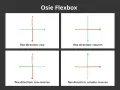 Schemat osi Flexbox: row, column, row-reverse, column-reverse. Pokazuje, jak zmienia się główna i poprzeczna oś, wpływając na **vertical align**.