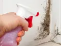 Hand sprüht Schimmel an einer Fensterlaibung. Was tun bei Schimmel im Haus? Hier wird die Ursache bekämpft.