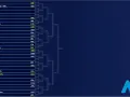 Cuadro masculino del Open de Australia con jugadores como Novak Djokovic y Carlos Alcaraz.