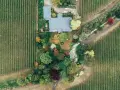 Zabudowa siedliskowa otoczona winnicami i kolorowym ogrodem. Domy z szarymi dachami, ścieżki, drzewa i krzewy tworzą malowniczy krajobraz.