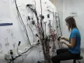 Montaż wiązek elektrycznych: Od projektu po karierę montera