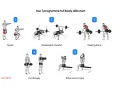 Programme de remise en forme pour débutants : squat, développé couché, rowing barre, curl biceps, extension triceps.
