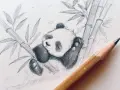 En söt panda sover bland bambu. Enkla bilder att rita som denna inspirerar till kreativitet.