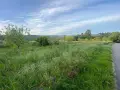 Prado verde con árboles y colinas al fondo, ideal para rutas de senderismo en Betanzos.