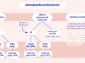 Schéma des statuts du photographe : artistique, libéral, commercial, artisanal, photojournaliste. L'artiste auteur ou micro entrepreneur peut choisir entre EI, micro BNC/BIC, frais réels.