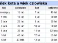 Jak liczyć wiek dziecka w hotelu, aby uniknąć nieprzyjemnych niespodzianek