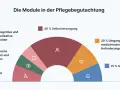 Diagramm zeigt die Module der Pflegebegutachtung: 40% Selbstversorgung, 20% medizinische Anforderungen, 15% Alltagsgestaltung, 10% Mobilität, 7.5% kognitive/kommunikative Fähigkeiten, 7.5% psychische Erkrankungen.