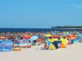 Tłum ludzi na plaży w Darłówku Wschodnim, kolorowe parawany i namioty chronią przed słońcem.
