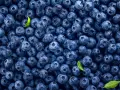 Mnóstwo soczystych borówek amerykańskich, idealnych na zdrową przekąskę. Niska zawartość kcal sprawia, że to świetny wybór.