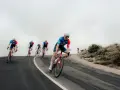 Cyclists in blue and red kits race downhill, showcasing the intense effort behind the Tour de France average speed.