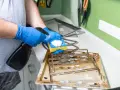 Person mit blauen Handschuhen sprüht Reinigungsmittel auf einen Schwamm, um ein schmutziges Backblech zu reinigen.