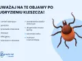 Kleszcz: Jak usunąć bezpiecznie i uniknąć chorób?