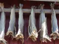 Getrockneter Fisch hängt an einem Holzgestell vor einer roten Wand. Ein traditionelles Gericht, das auch bei den Wikingern beliebt war: Wikinger essen.