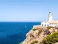 Palma de Mallorca: Qué ver y cómo vivirla como un local