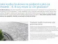 Jakiej grubości kostka na podjazd? Uniknij kosztownych błędów