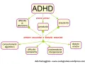 Schema ADHD: sintomi primari (difficoltà di attenzione, iperattività, impulsività) e secondari (comportamenti aggressivi, difficoltà scolastiche, problematiche interpersonali, disturbi emotivi).