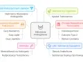 Mapa przyczyn zaburzeń androgenowych: PCOS, nowotwory, starzenie, choroby metaboliczne, genetyka, leki.