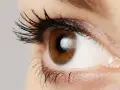 Occhio marrone con ciglia lunghe e folte, un riflesso luminoso suggerisce l'uso di olio di silicone per un effetto brillante.