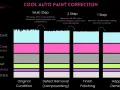 Diagram shows car paint layers. Multi-step process involves cut and buff for defect removal, then polishing for a happy owner.