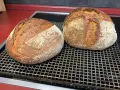 Zwei frisch gebackene, rustikale Brote mit knuspriger Kruste und lockerer Krume ruhen auf einem Gitter. Dieses 60 Stunden Brot ist ein Meisterwerk.