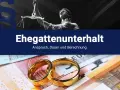 Zwei Eheringe liegen auf Euro-Scheinen. Die Justitia-Statue und ein Paragrafensymbol deuten auf rechtliche Aspekte wie nachehelicher Unterhalt Beispiele hin.