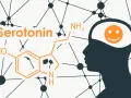 Profilo umano con simbolo di felicità nel cervello, accanto alla formula chimica della serotonina. La dopamina e la serotonina influenzano l'umore.