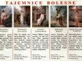 Obraz przedstawia pięć scen z życia Jezusa, ilustrujących tajemnice bolesne: modlitwę w Ogrójcu, biczowanie, ukoronowanie cierniem, dźwiganie krzyża i śmierć na krzyżu.