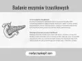 Ilustracja trzustki. Badanie enzymów trzustkowych, w tym lipazy, pomaga wykryć choroby tego narządu.