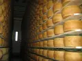 Czy grana padano to parmezan? Odkryj kluczowe różnice i smaki