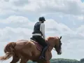 Cavalier en tenue d'équitation sur un cheval bai, sous un ciel nuageux. La tête d'arsouille du cheval est visible, prête pour l'aventure.