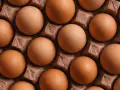 Huevos marrones en una bandeja de cartón, listos para ser usados en hostelería.