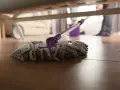 Mop pod łóżkiem, gotowy do czyszczenia paneli. W tle widać wiadro i nogi osoby sprzątającej.