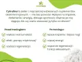 Cytrulina przed treningiem: pompa, siła i regeneracja jak to działa?