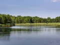 Spokojne jezioro koło Wrocławia otoczone gęstym lasem i trzcinami. Idealne miejsce na relaks.