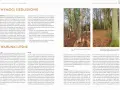 Wskazówki, jak znaleźć trufle: lasy liściaste, grądy i grabiny, wiek drzewostanu i rodzaj gleby to kluczowe czynniki.