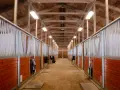 Ile kosztuje budowa stajni? Zaskakujące wydatki, których nie przewidzisz