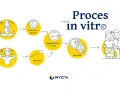 Ilustracja przedstawia proces in vitro: od komórki jajowej i plemnika, przez zapłodnienie, rozwój zarodka, aż po szczęśliwą parę z dzieckiem.
