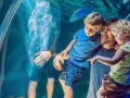 Gdzie wyjechać z dzieckiem na weekend? Odkryj idealne miejsca na wypoczynek